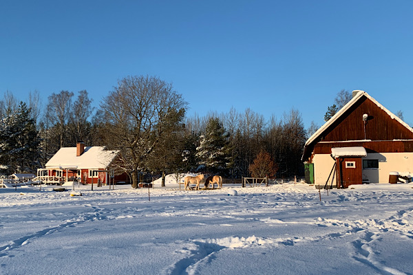 Hofansicht im Winter